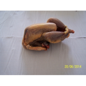 Pintade fermière 1.8 kg (+ ou - 100g)