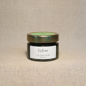 Ail des ours en pesto