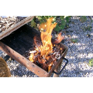 Petit bois pour barbecue et allumage de cheminée
