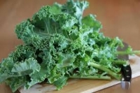 Plant de choux kale par 6