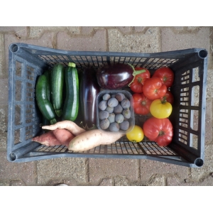 Panier légumes de saison (famille)