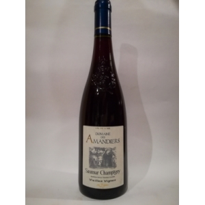 Saumur champigny vieilles vignes  2021