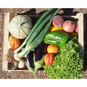 Panier bio légumes/fruits:pt md 4,5k