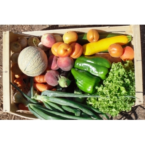 Panier bio légumes/fruits:moy md:7,5