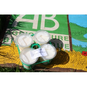 * 4 x yaourts bio a la rhubarbe et au lait entier