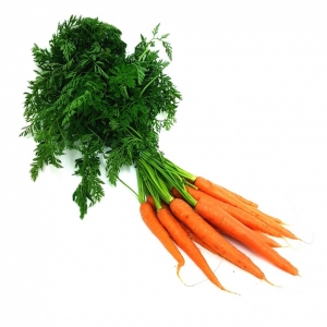 Carottes botte