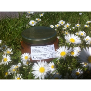 Conserve bolognaise de boeuf sans allergène