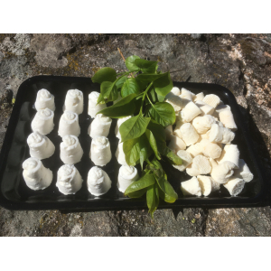 Fromages apéritifs pur chèvre