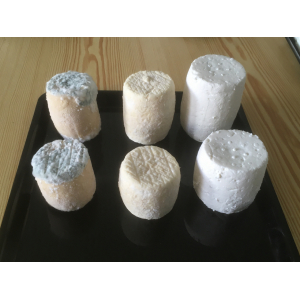 Grand mi-chèvre mi frais par 3