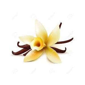 4 yaourts vanille de madagascar