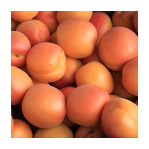 Abricots au kg