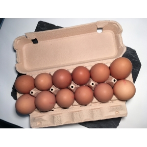 Oeufs fermiers volière x12