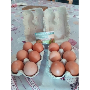 Oeufs extra frais de plein air par 12