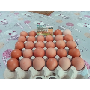 Oeufs extra frais de plein air par 30