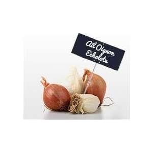 Ail, botte d'aillet,oignon,échalote