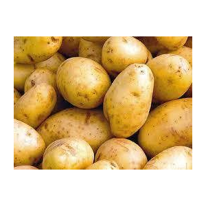 Pomme de terre agata