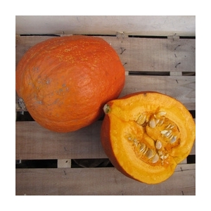 Potimarrons en morceaux