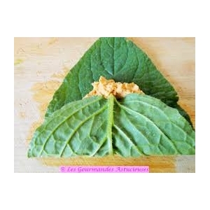 Feuilles de bourrache bio en bouquet