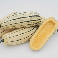 Courge délicata-