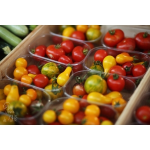 Tomates cerises, rouges ou mix,  plein champ