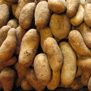 Pommes de terre nouvelles