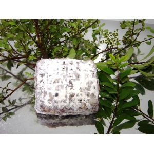 Saucisson canard abricots 'apero'