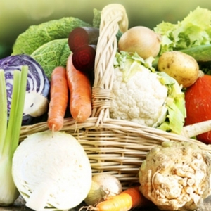 Panier dégustation bio