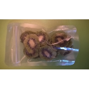 Kiwi séché du béarn