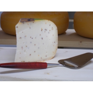 Gouda de vache à la moutarde, 270-3