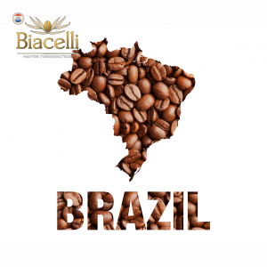 Café brésil -  grains