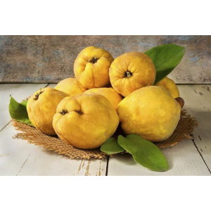 Pâtes de coing aux épices bio