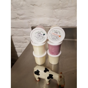 6 yaourts aux fruits jaunes