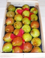 Poires passe6crassane en plateau de 5kg
