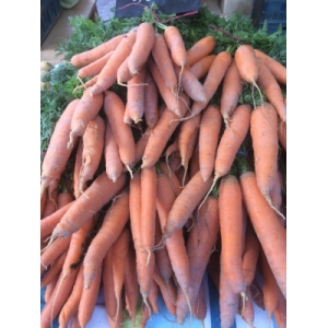 Carotte vrac