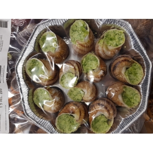 12 escargots en coquilles