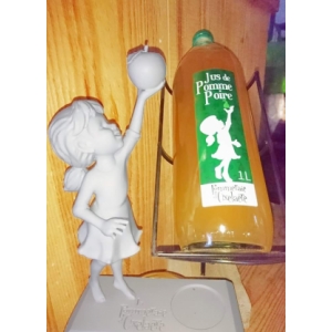 Jus de pomme poire 1l