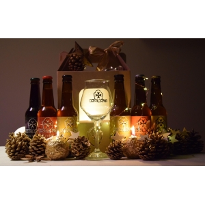 Mage malte coffret dégustation 6x33cl + 1 verre + 1 sous bock