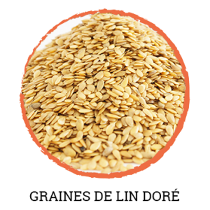 Graine de lin doré