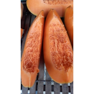 Citrouille type musquée