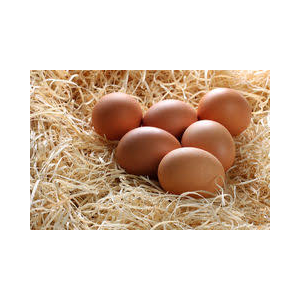 Oeufs extra frais (6)