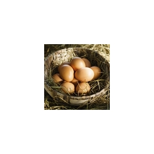 Oeufs bio extra frais x6