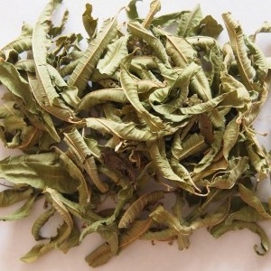 Tisane verveine