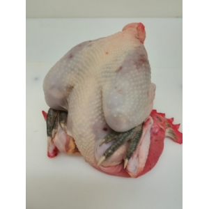 Poulet de ferme entier