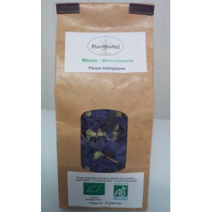 Mauve sylvestre fleurs date depasee