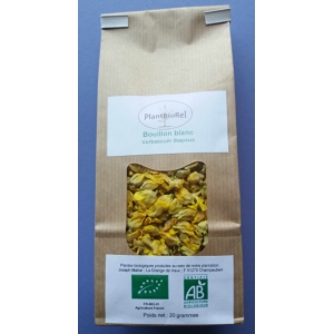 Bouillon blanc fleurs