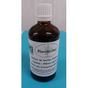 Cassis extrait hydroalcoolique