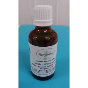 Cassis macérât de bourgeons