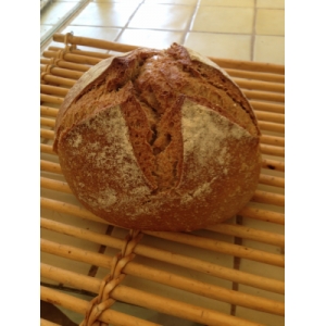Pain campagne bio