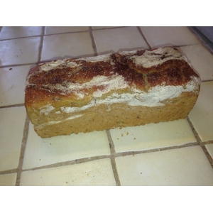 Pain pur khorasan bio