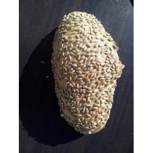 Pain au  tournesol bio